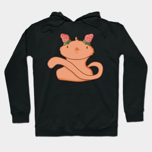 Cute Strawberry Cat, Cat Lover Hoodie